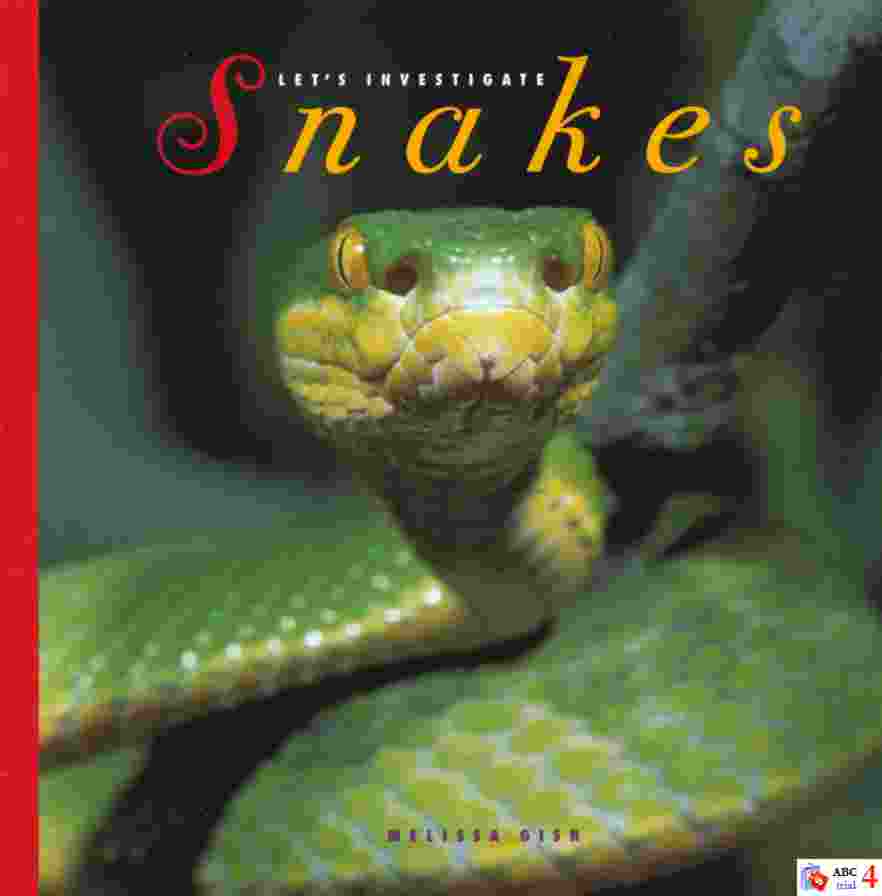 Snakes 書封