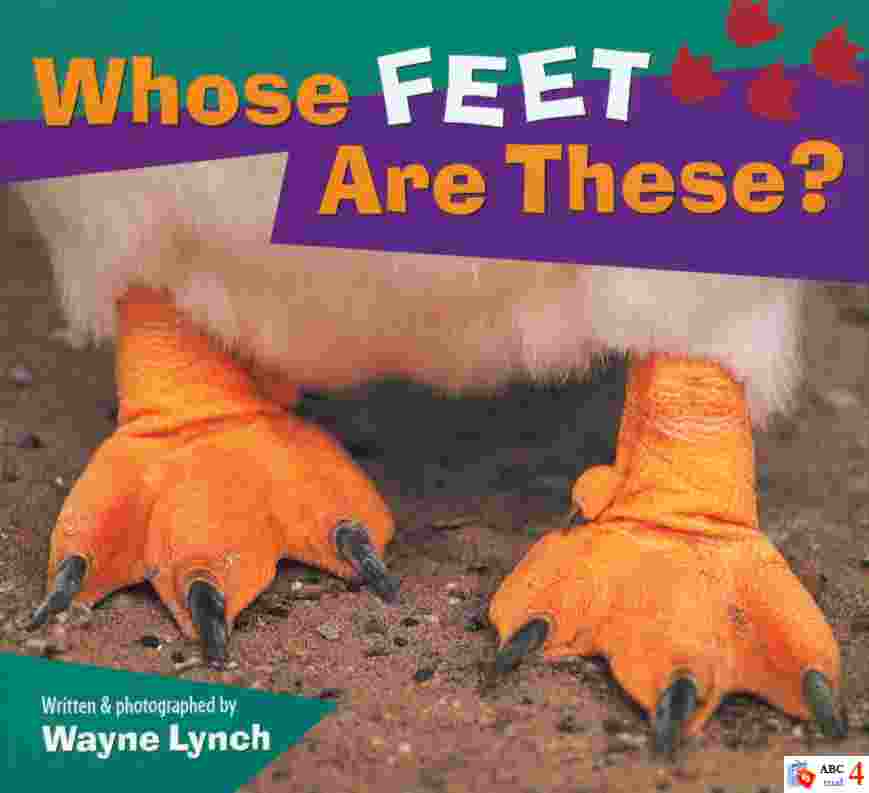 Whose feet are these? 書封